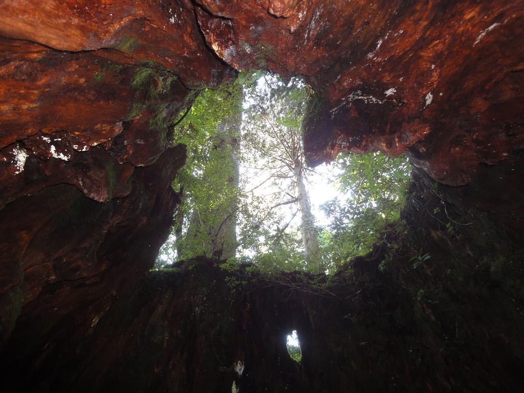 Pension Blue Drop Yakushima  Eksteriør bilde